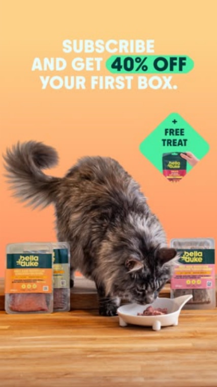 Bella+Duke (cat) ad