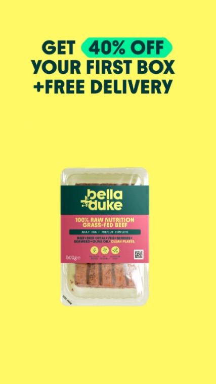 Bella+Duke ad